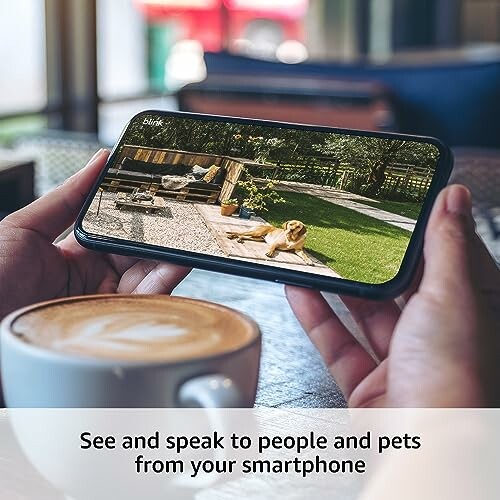 Person holding a smartphone showing a dog in a backyard, with coffee in the foreground.